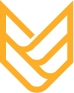 Vector