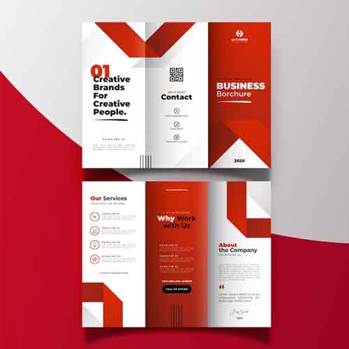 custom brochure concept 360webcoders